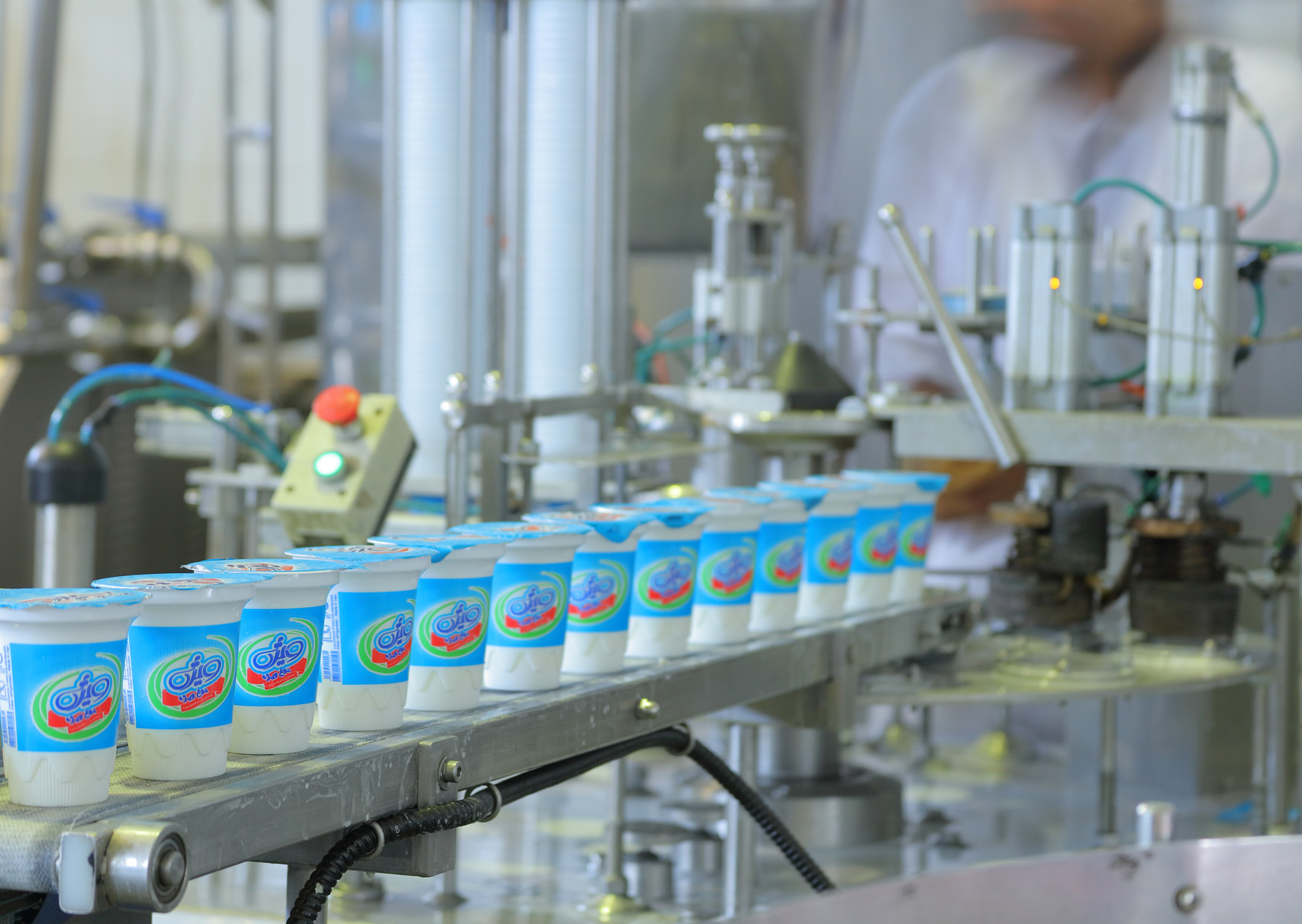 کارخانه حلیب